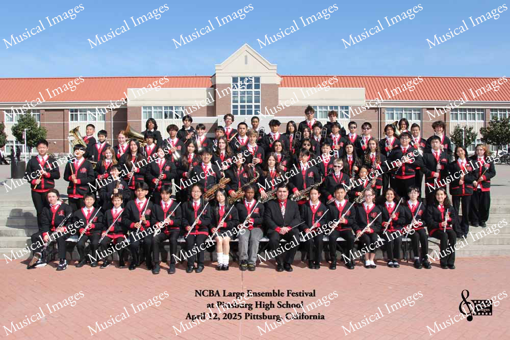 Musical Images